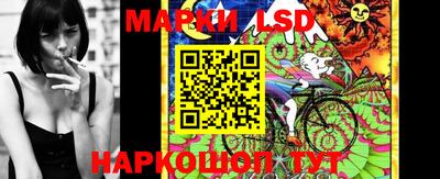MDMA Гатчина
