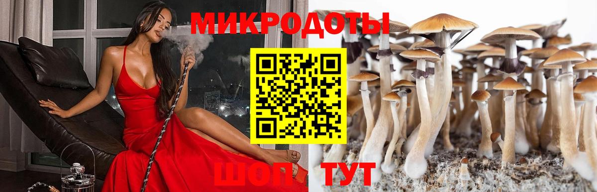 Псилоцибиновые грибы Psilocybe  Псилоцибиновые грибы мухоморы  Вход с VPN  Вологда 